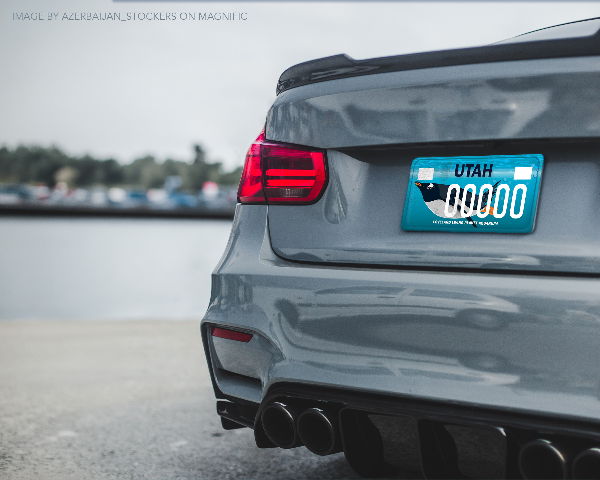 License Plate Car Mockup 2